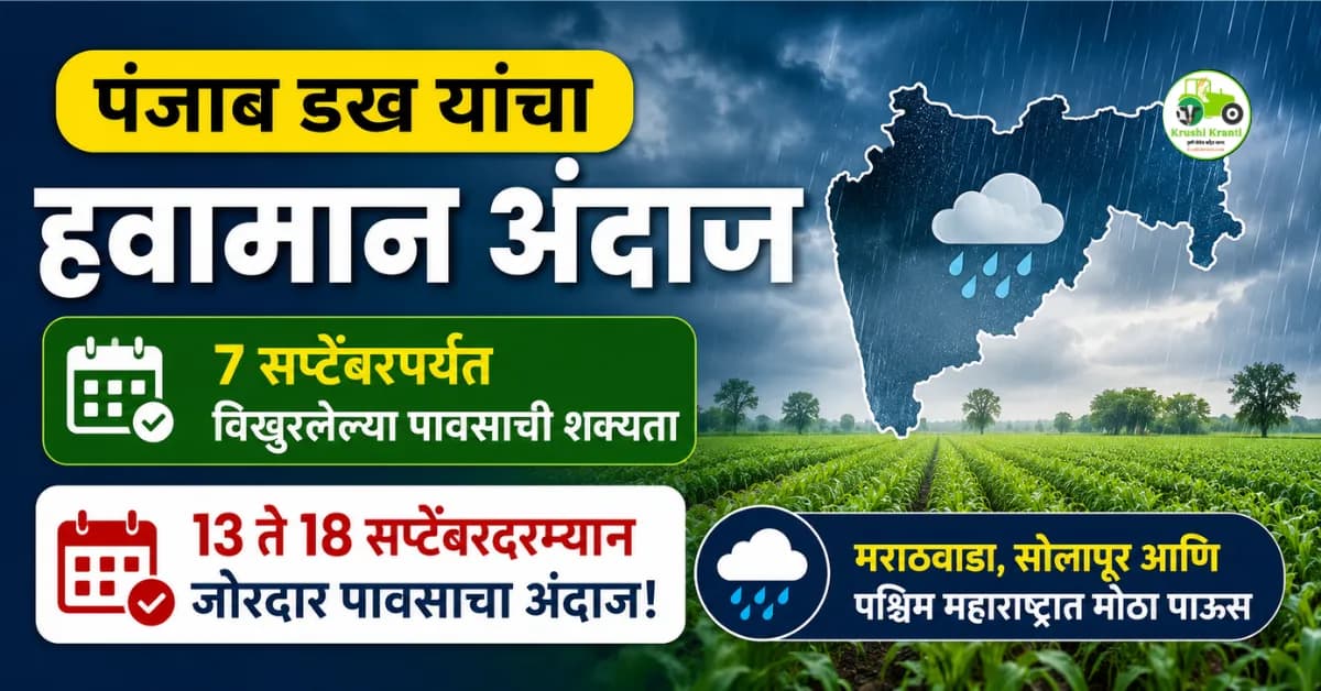 पंजाब डख यांचा हवामान अंदाज : ७ सप्टेंबरपर्यंत विखुरलेल्या पावसाची शक्यता; १३ ते १८ सप्टेंबरदरम्यान जोरदार पावसाचा अंदाज