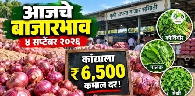 कांद्याला ५,७१३ रुपये कमाल दर; मेथीलाही चांगला भाव