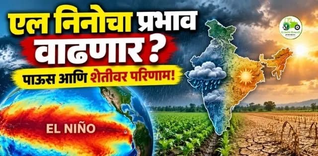 एल निनोचा प्रभाव अधिक तीव्र होणार? पाऊस, तापमान आणि शेतीवर काय परिणाम होणार?