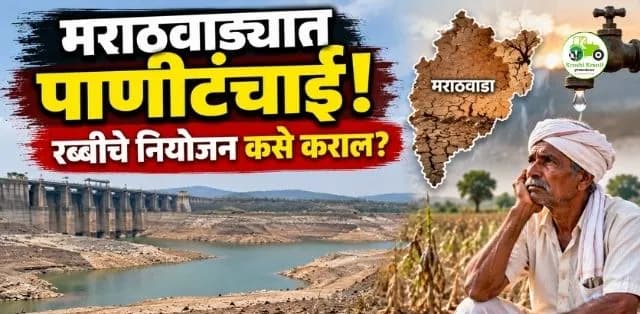 मराठवाड्यात पाणीटंचाईचे संकट गडद; धरणातील पाणी पिण्यासाठी राखीव, रब्बी हंगामाबाबत शेतकऱ्यांना मोठा सल्ला