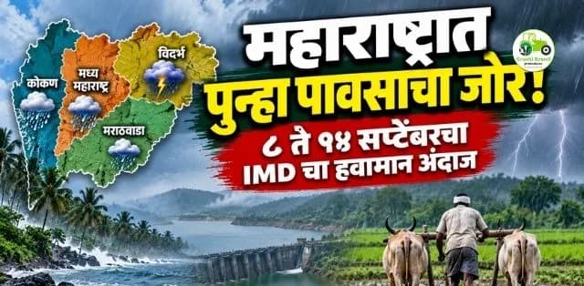 महाराष्ट्रात पुन्हा पावसाचा जोर वाढणार! कोकण, मध्य महाराष्ट्र आणि विदर्भासाठी IMDचा महत्त्वाचा अंदाज