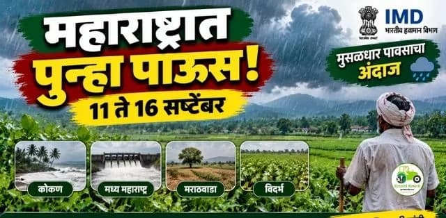 महाराष्ट्रात पुन्हा पावसाचा जोर वाढणार; ११ ते १६ सप्टेंबरदरम्यान विविध भागांत मुसळधार पावसाचा अंदाज
