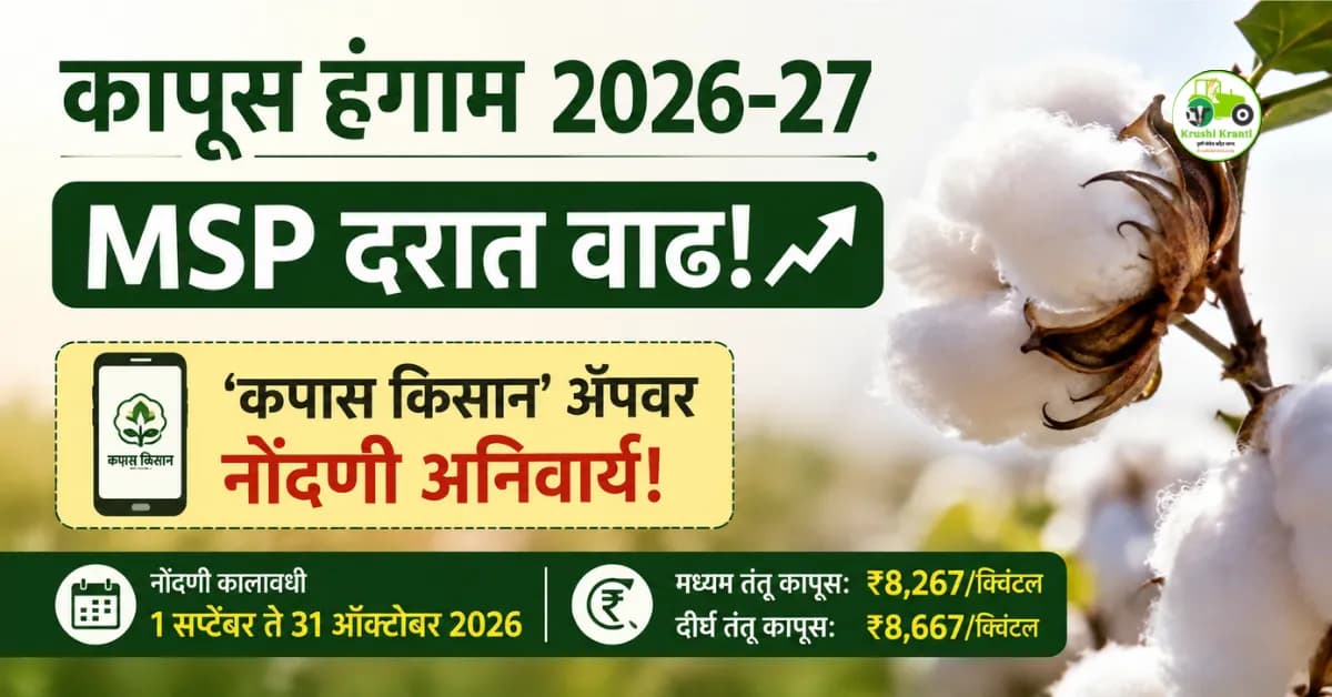 कापूस हंगाम 2026-27: MSP दरात वाढ; ‘कपास किसान’ अॅपवर नोंदणी अनिवार्य