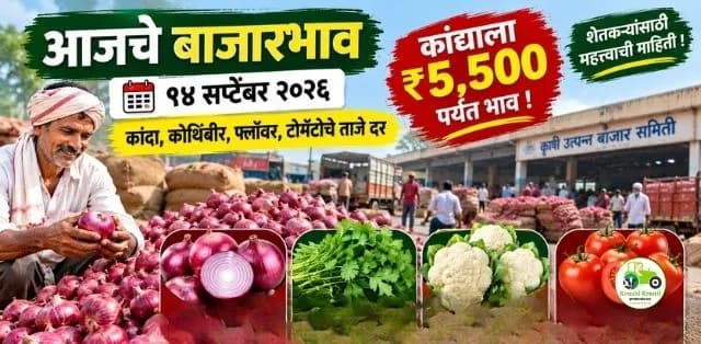 शेतकऱ्यांसाठी महत्त्वाची बातमी! कांदा ५,५०० रुपयांवर