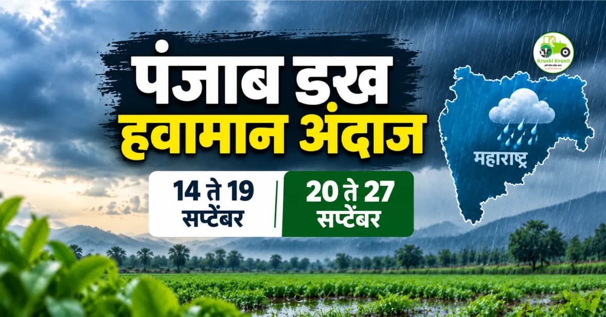 पंजाब डख हवामान अंदाज: 14 ते 19 सप्टेंबर विखुरलेला पाऊस, 20 ते 27 सप्टेंबर जोर वाढणार