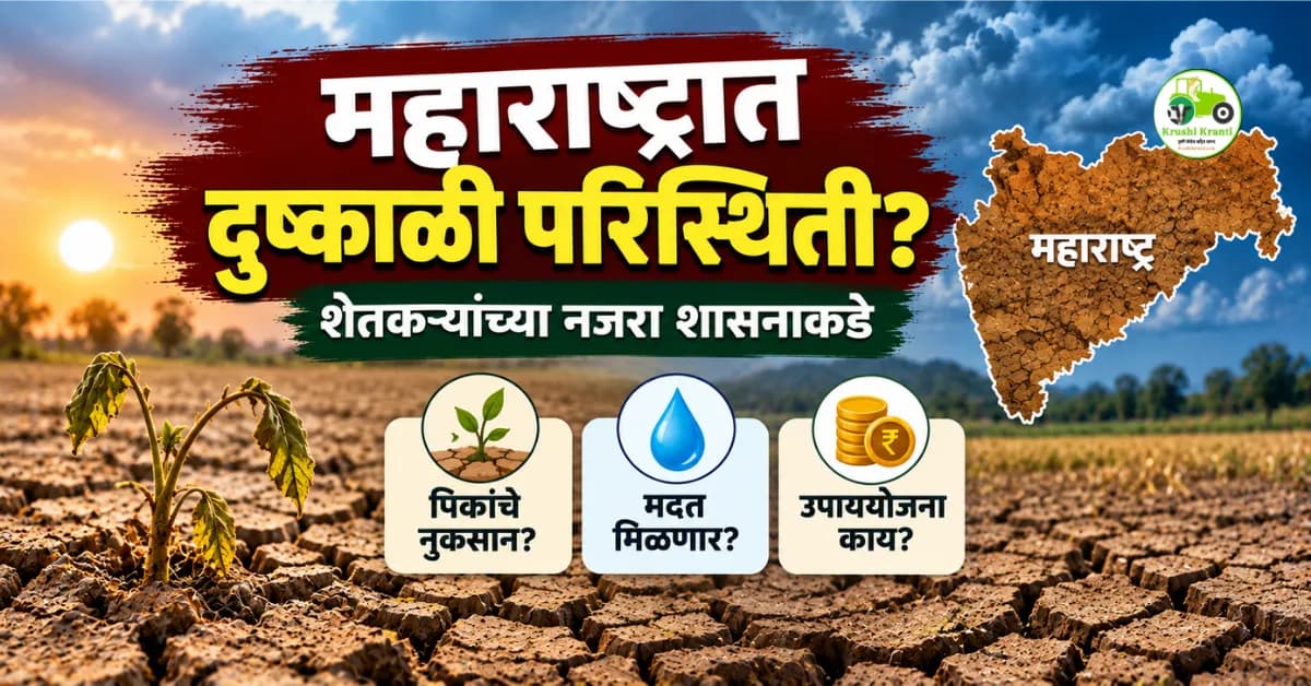 महाराष्ट्रात दुष्काळी परिस्थिती? पावसाच्या खंडामुळे खरीप पिकांना फटका; सरकारची उपाययोजनांची तयारी