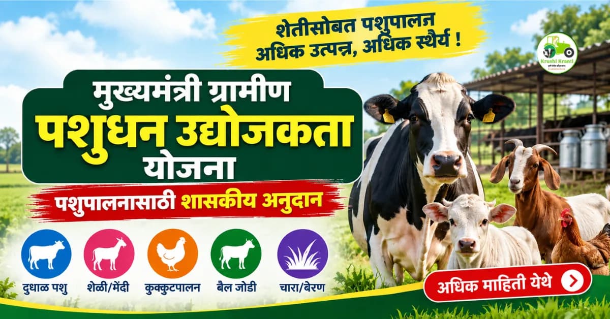 मुख्यमंत्री ग्रामीण पशुधन उद्योजकता योजना : पशुपालन व्यवसायासाठी शासकीय अनुदानाची संधी