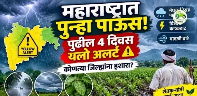 महाराष्ट्रात पुढील चार दिवस पावसाचा इशारा; अनेक जिल्ह्यांना यलो अलर्ट, शेतकऱ्यांनी सतर्क राहण्याचे आवाहन