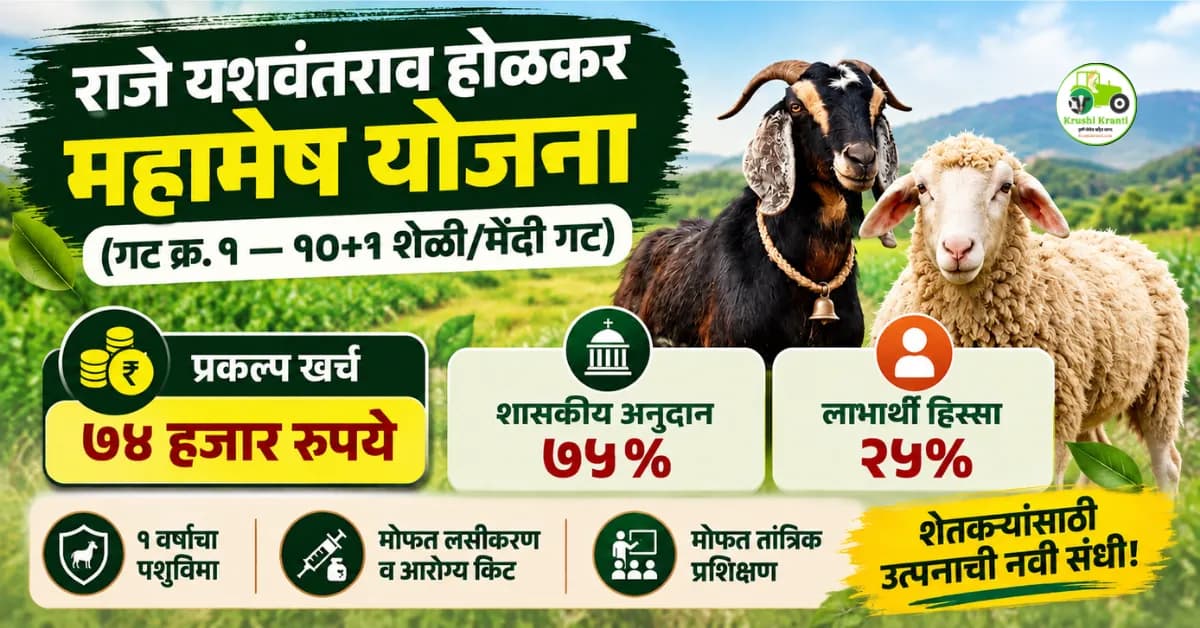 राजे यशवंतराव होळकर महामेष योजना : 10+1 शेळी-मेंढी गटासाठी 75% शासकीय अनुदान