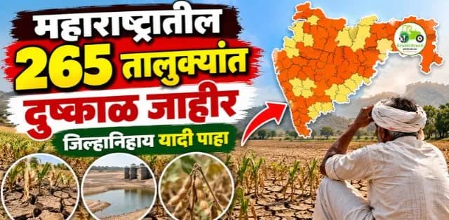 महाराष्ट्रातील 265 तालुक्यांत दुष्काळ जाहीर; जिल्हानिहाय यादी आणि शेतकऱ्यांवर परिणाम
