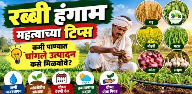 रब्बी हंगामासाठी महत्त्वाच्या टिप्स: एल निनोच्या काळात शेतकऱ्यांनी काय काळजी घ्यावी?