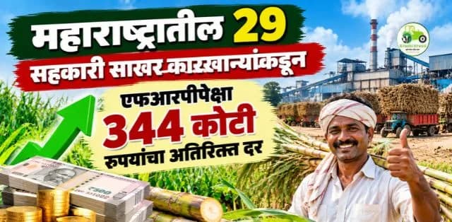महाराष्ट्रातील २९ सहकारी साखर कारखान्यांकडून एफआरपीपेक्षा ३४४ कोटींचा अतिरिक्त दर; ऊस उत्पादकांसाठी महत्त्वाची बातमी