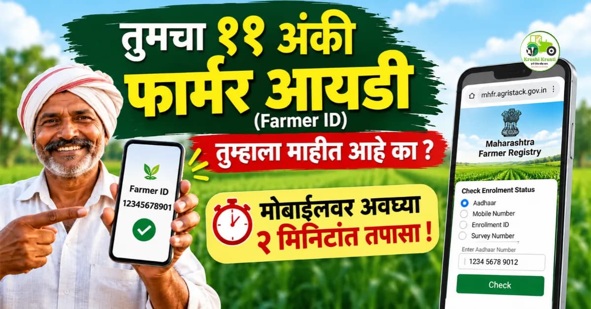 तुमचा ११ अंकी ‘फार्मर आयडी’ माहीत आहे का? मोबाईलवर २ मिनिटांत असा तपासा
