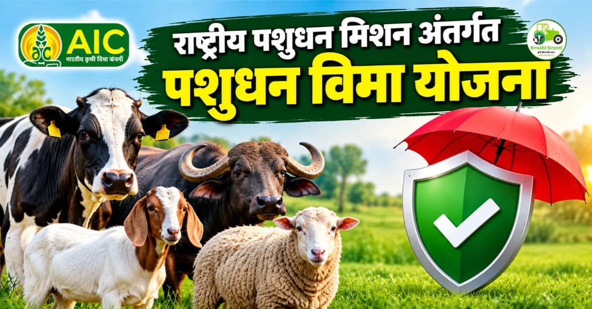 राष्ट्रीय पशुधन मिशन पशुधन विमा योजना: शेतकऱ्यांना पशुधनासाठी विमा संरक्षण