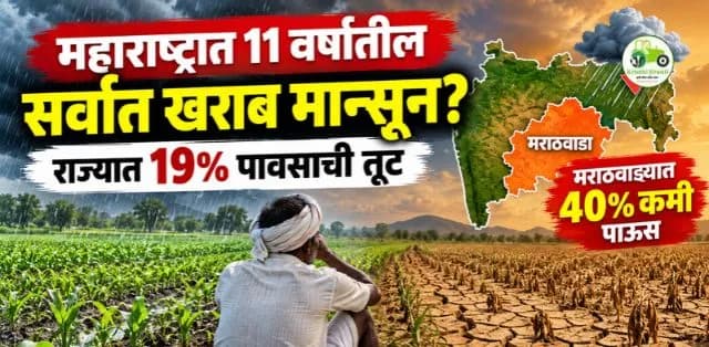 महाराष्ट्रात ११ वर्षांतील सर्वात खराब मान्सून? राज्यात १९% पावसाची तूट, मराठवाड्यात ४०% कमी पाऊस