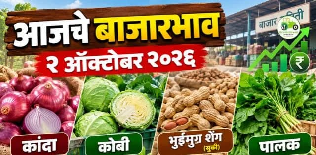 कांदा, कोबी, भुईमूग शेंग आणि पालकचे दर काय?