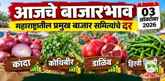 कांदा, कोथिंबीर, डाळिंब आणि हिरवी मिरची बाजारभाव