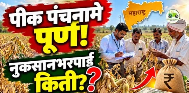 महाराष्ट्रातील दुष्काळग्रस्त भागातील पीक पंचनामे पूर्ण; नुकसानभरपाईची रक्कम वाढणार का?