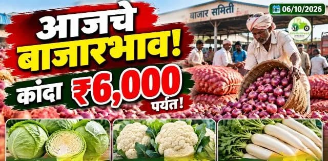 आजचे बाजारभाव; कांद्याला कमाल ६ हजारांचा दर