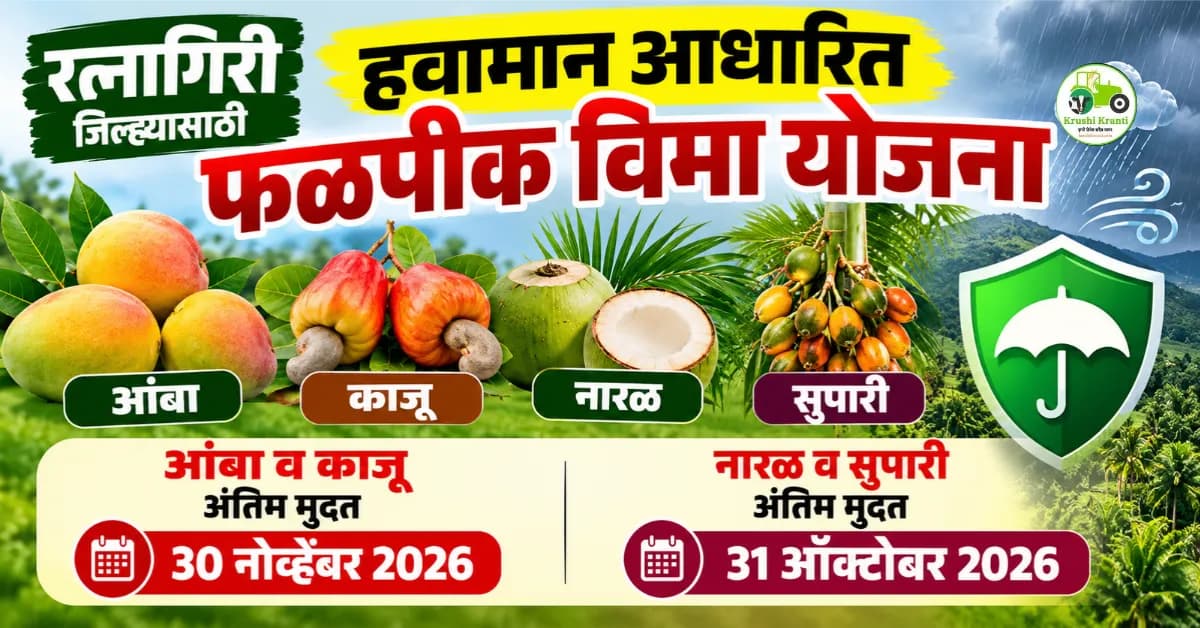 आंबा, काजू, नारळ व सुपारीसाठी हवामान आधारित फळपीक विमा योजना; जाणून घ्या अंतिम मुदत, हप्ता व विमा संरक्षण