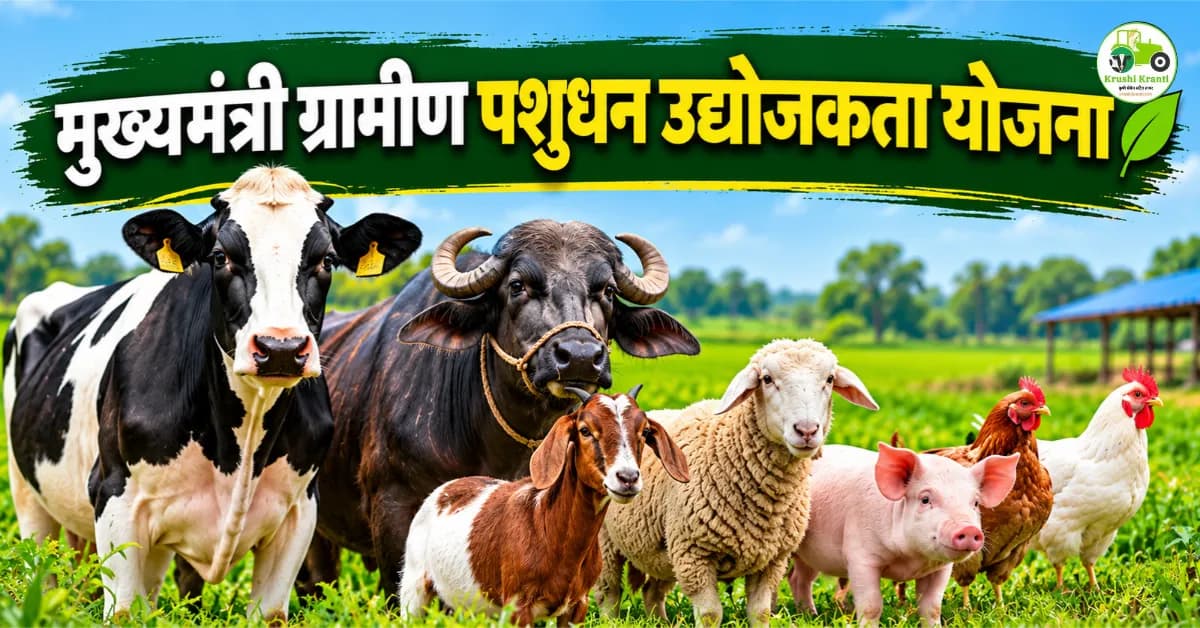मुख्यमंत्री ग्रामीण पशुधन उद्योजकता योजना 2026 | पशुपालकांना अनुदान