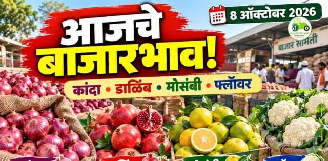 कांदा, फ्लॉवर, मोसंबी आणि डाळिंबाचे दर जाणून घ्या
