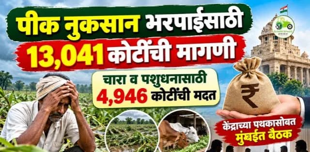 पीक नुकसान भरपाईसाठी १३,०४१ कोटींची मागणी; चारा व पशुधनासाठी ४,९४६ कोटींची मदत मागितली