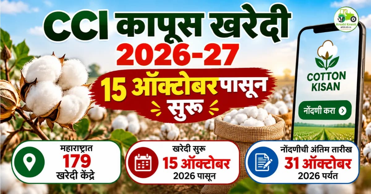 CCI कापूस खरेदी 2026-27 सुरू | नोंदणीची अंतिम तारीख 31 ऑक्टोबर