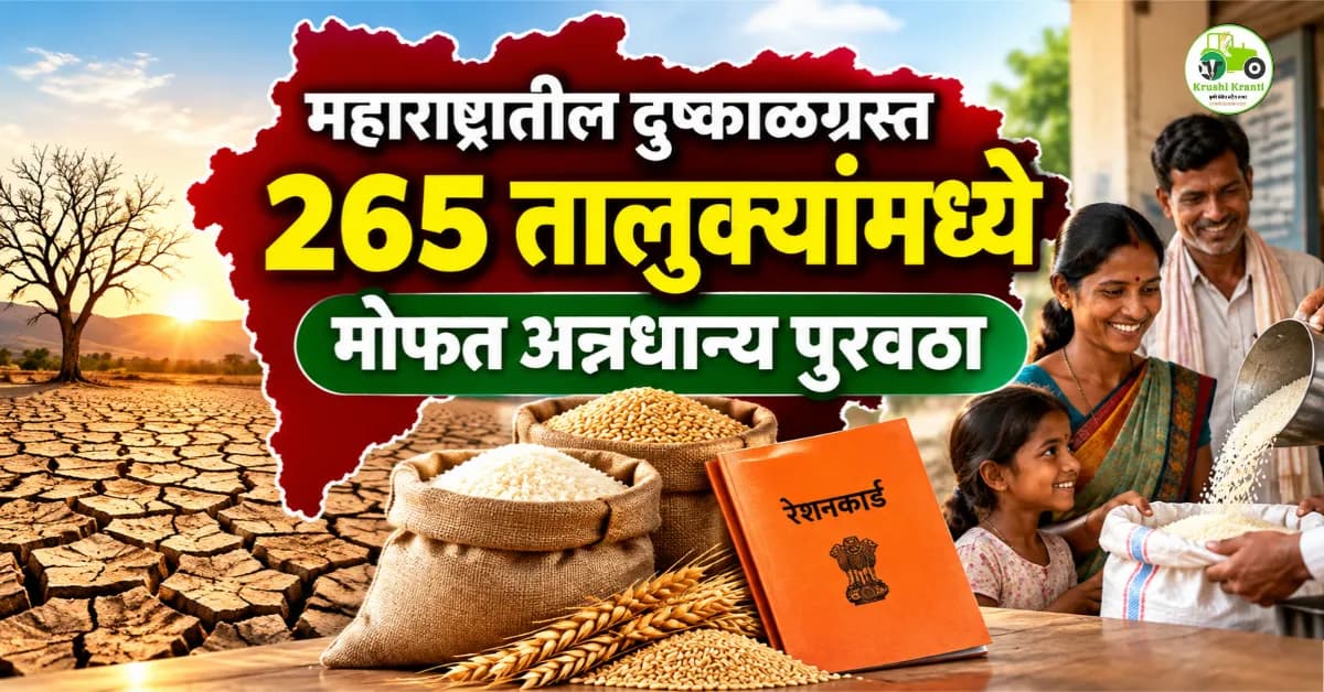 महाराष्ट्रातील 265 दुष्काळग्रस्त तालुक्यांत मोफत अन्नधान्य