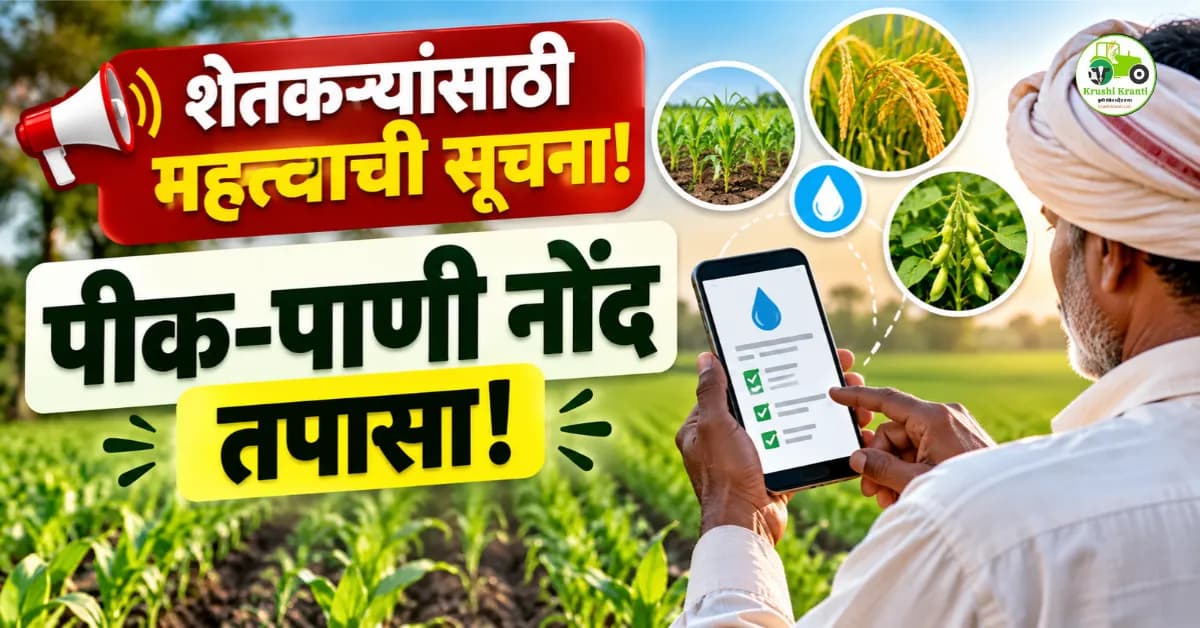 शेतकऱ्यांसाठी महत्त्वाची सूचना! पीक-पाणी नोंदीतील माहिती अशी तपासा