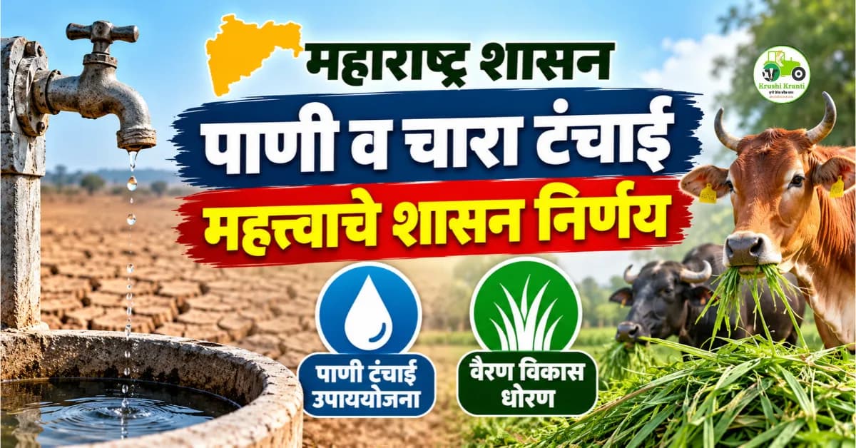 महाराष्ट्रात पाणी व चारा टंचाईवर उपाययोजना; वैरण विकास धोरण लागू करण्याचा शासन निर्णय