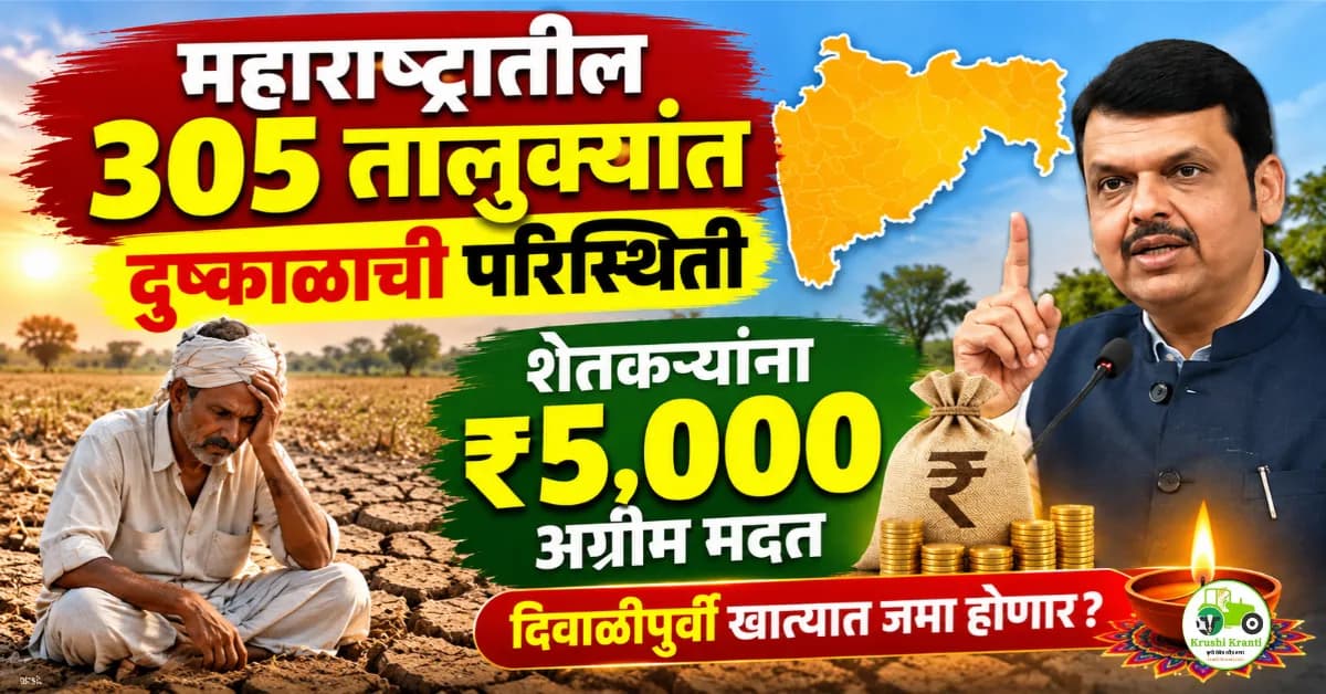 महाराष्ट्रातील ३०५ तालुक्यांत दुष्काळाची परिस्थिती? शेतकऱ्यांना दिवाळीपूर्वी ₹५,००० अग्रीम मदत मिळणार?
