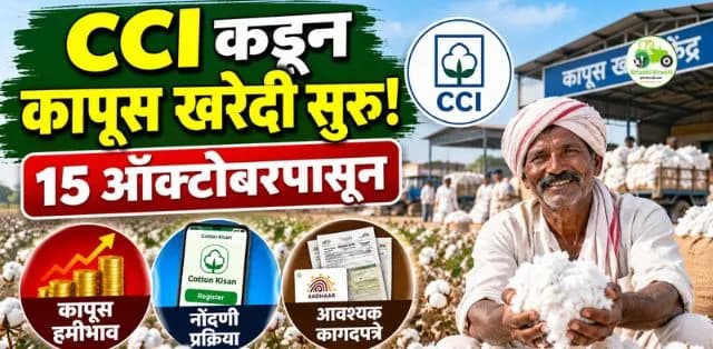 CCI कडून आजपासून कापूस खरेदी सुरू! शेतकऱ्यांनी नोंदणी आणि हमीभावाची माहिती जाणून घ्या