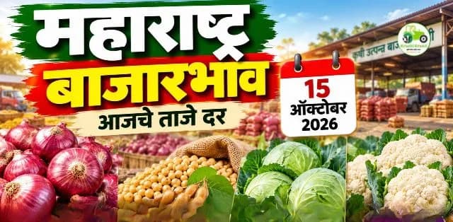 कांदा, कोबी, फ्लॉवर आणि सोयाबीनचे दर पाहा
