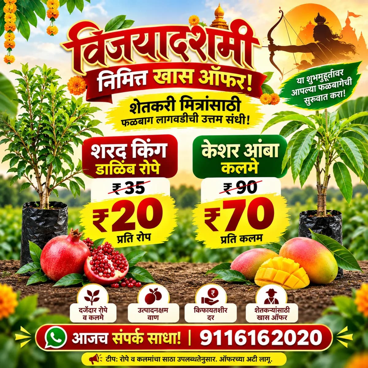विजयादशमी स्पेशल ऑफर | शरद किंग डाळिंब रोपे व केशर आंबा कलमे