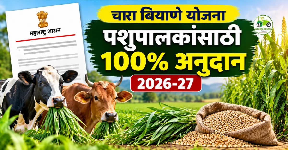 चारा बियाणे वाटप योजनेत मोठा बदल! पशुपालकांसाठी 100% अनुदान, अटींमध्ये शिथिलता