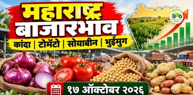 कांदा, टोमॅटो आणि सोयाबीनचे दर; भुईमुगालाही चांगला भाव