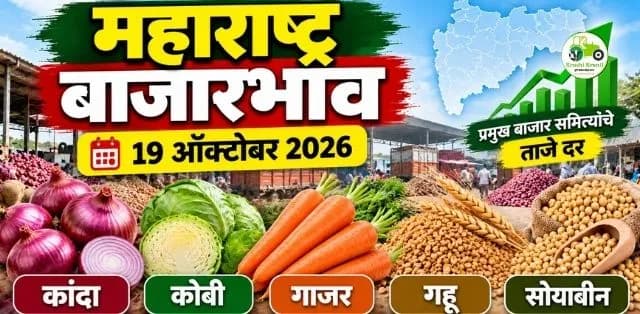 कांदा, कोबी, गाजर, गहू आणि सोयाबीनचे दर