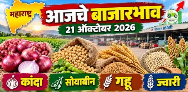 कांदा, सोयाबीन, गहू आणि ज्वारीचे दर जाणून घ्या