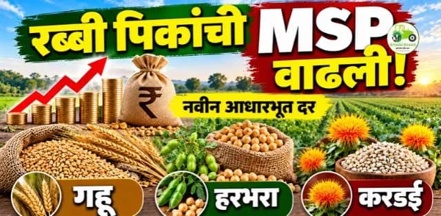 रब्बी पिकांच्या MSP मध्ये वाढ: गहू, हरभरा आणि करडईचे नवीन दर