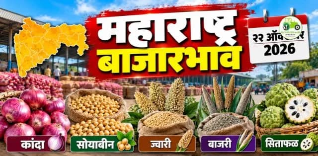 महाराष्ट्र बाजारभाव अपडेट: २२ ऑक्टोबर २०२६ रोजी कांदा, सोयाबीन, ज्वारी, बाजरी आणि सिताफळाचे दर