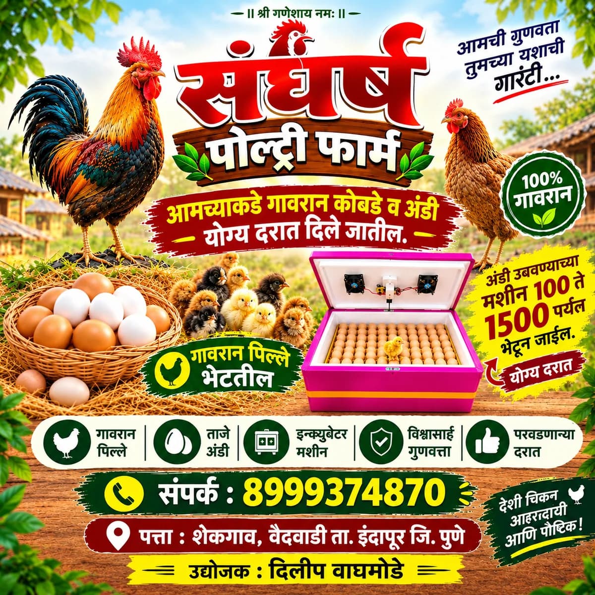अंडी उबवणूक इनक्युबेटर मशीन 100 ते 1500 अंडी क्षमता | संधर्ष पोल्ट्री फार्म