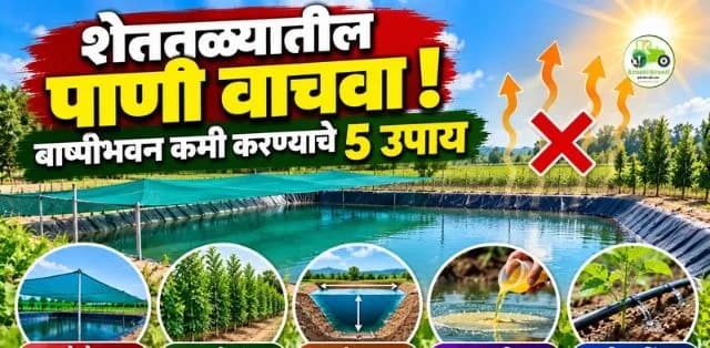 शेततळ्यातील पाण्याचे बाष्पीभवन कसे कमी करावे? जाणून घ्या ५ प्रभावी उपाय