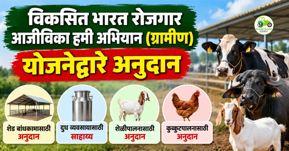 VB-G-RAM-G योजना: चारा पिकांच्या लागवडीसाठी अंदाजपत्रकाला मान्यता; जाणून घ्या सविस्तर माहिती